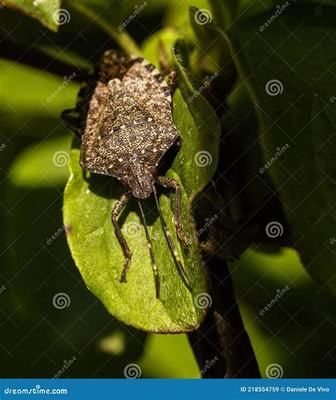 手游代理與票務(wù)代理的入門指南 從洗發(fā)手游到票務(wù)服務(wù)的全方位解析